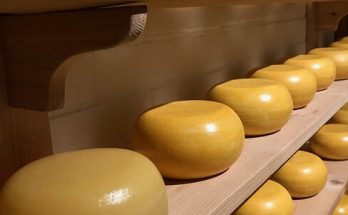 Gouda sajt