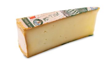 Fontina